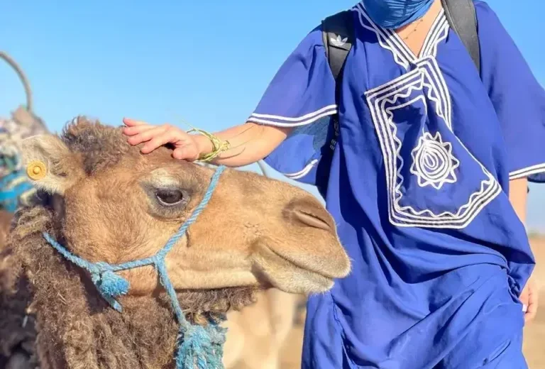 Passeggiata in Cammello tra le Palme e il Deserto di Marrakech